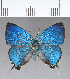  ( - CFC18209)  @11 [ ] Copyright (2018) Christer Fahraeus Center For Collection-Based Research