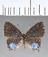  ( - CFC18265)  @11 [ ] Copyright (2018) Christer Fahraeus Center For Collection-Based Research