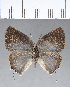  ( - CFC18296)  @11 [ ] Copyright (2018) Christer Fahraeus Center For Collection-Based Research