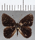  ( - CFC18298)  @11 [ ] Copyright (2019) Christer Fahraeus Center For Collection-Based Research