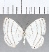  ( - CFC18366)  @11 [ ] Copyright (2019) Christer Fahraeus Center For Collection-Based Research