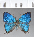  ( - CFC18419)  @11 [ ] Copyright (2018) Christer Fahraeus Center For Collection-Based Research