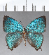  ( - CFC18422)  @11 [ ] Copyright (2018) Christer Fahraeus Center For Collection-Based Research