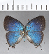  ( - CFC18425)  @11 [ ] Copyright (2018) Christer Fahraeus Center For Collection-Based Research