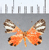  ( - CFC18485)  @11 [ ] Copyright (2018) Christer Fahraeus Center For Collection-Based Research