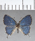  ( - CFC18499)  @11 [ ] Copyright (2018) Christer Fahraeus Center For Collection-Based Research