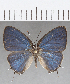  ( - CFC18509)  @11 [ ] Copyright (2019) Christer Fahraeus Center For Collection-Based Research