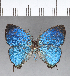  ( - CFC18529)  @11 [ ] Copyright (2018) Christer Fahraeus Center For Collection-Based Research