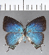  ( - CFC18541)  @11 [ ] Copyright (2018) Christer Fahraeus Center For Collection-Based Research