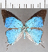  ( - CFC18582)  @11 [ ] Copyright (2019) Christer Fahraeus Center For Collection-Based Research