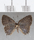  ( - CFC18594)  @11 [ ] Copyright (2019) Christer Fahraeus Center For Collection-Based Research