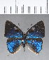  ( - CFC18609)  @11 [ ] Copyright (2018) Christer Fahraeus Center For Collection-Based Research