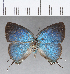  ( - CFC18640)  @11 [ ] Copyright (2018) Christer Fahraeus Center For Collection-Based Research