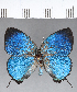  ( - CFC18641)  @11 [ ] Copyright (2018) Christer Fahraeus Center For Collection-Based Research