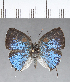  ( - CFC18642)  @11 [ ] Copyright (2018) Christer Fahraeus Center For Collection-Based Research