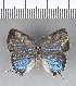  ( - CFC18643)  @11 [ ] Copyright (2018) Christer Fahraeus Center For Collection-Based Research