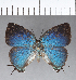  ( - CFC18687)  @11 [ ] Copyright (2018) Christer Fahraeus Center For Collection-Based Research