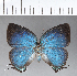  ( - CFC18688)  @11 [ ] Copyright (2018) Christer Fahraeus Center For Collection-Based Research