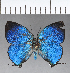  ( - CFC18700)  @11 [ ] Copyright (2018) Christer Fahraeus Center For Collection-Based Research