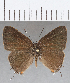  ( - CFC18714)  @11 [ ] Copyright (2019) Christer Fahraeus Center For Collection-Based Research