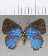  ( - CFC18721)  @11 [ ] Copyright (2019) Christer Fahraeus Center For Collection-Based Research