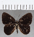  ( - CFC18726)  @11 [ ] Copyright (2019) Christer Fahraeus Center For Collection-Based Research