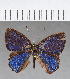  ( - CFC01874)  @11 [ ] Copyright (2019) Christer Fahraeus Center For Collection-Based Research