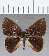  ( - CFC01877)  @11 [ ] Copyright (2019) Christer Fahraeus Center For Collection-Based Research