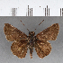  ( - CFC18771)  @11 [ ] Copyright (2018) Christer Fahraeus Center For Collection-Based Research