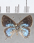  ( - CFC18805)  @11 [ ] copyright (2020) Christer Fahraeus Center For Collection-Based Research