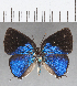  ( - CFC18839)  @11 [ ] Copyright (2019) Christer Fahraeus Center For Collection-Based Research