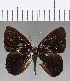  ( - CFC18852)  @11 [ ] Copyright (2019) Christer Fahraeus Center For Collection-Based Research
