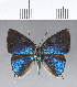  ( - CFC18864)  @11 [ ] Copyright (2018) Christer Fahraeus Center For Collection-Based Research