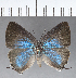  ( - CFC18883)  @11 [ ] Copyright (2018) Christer Fahraeus Center For Collection-Based Research