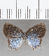  ( - CFC18903)  @11 [ ] Copyright (2019) Christer Fahraeus Center For Collection-Based Research
