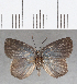  ( - CFC18905)  @11 [ ] Copyright (2019) Christer Fahraeus Center For Collection-Based Research
