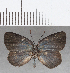  ( - CFC18906)  @11 [ ] Copyright (2019) Christer Fahraeus Center For Collection-Based Research
