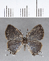  ( - CFC18916)  @11 [ ] Copyright (2018) Christer Fahraeus Center For Collection-Based Research