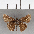  ( - CFC01892)  @11 [ ] Copyright (2018) Christer Fahraeus Center For Collection-Based Research