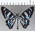  ( - CFC18997)  @11 [ ] Copyright (2019) Christer Fahraeus Center For Collection-Based Research