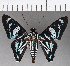  ( - CFC18999)  @11 [ ] Copyright (2019) Christer Fahraeus Center For Collection-Based Research