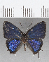  ( - CFC19010)  @11 [ ] Copyright (2019) Christer Fahraeus Center For Collection-Based Research