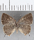  ( - CFC19018)  @11 [ ] Copyright (2019) Christer Fahraeus Center For Collection-Based Research