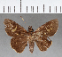  ( - CFC01903)  @13 [ ] Copyright (2018) Christer Fahraeus Center For Collection-Based Research