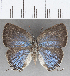  ( - CFC19031)  @11 [ ] Copyright (2019) Christer Fahraeus Center For Collection-Based Research