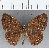  ( - CFC19081)  @11 [ ] Copyright (2019) Christer Fahraeus Center For Collection-Based Research