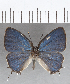  ( - CFC19108)  @11 [ ] Copyright (2019) Christer Fahraeus Center For Collection-Based Research