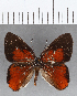  ( - CFC19133)  @11 [ ] Copyright (2019) Christer Fahraeus Center For Collection-Based Research