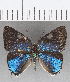  ( - CFC19144)  @11 [ ] Copyright (2019) Christer Fahraeus Center For Collection-Based Research