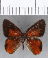  ( - CFC19148)  @11 [ ] Copyright (2019) Christer Fahraeus Center For Collection-Based Research